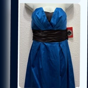 Trixxi Strapless Dress in Vibrant Blue and Black